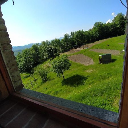 Agriturismo Paneolio Villa Collemandina エクステリア 写真