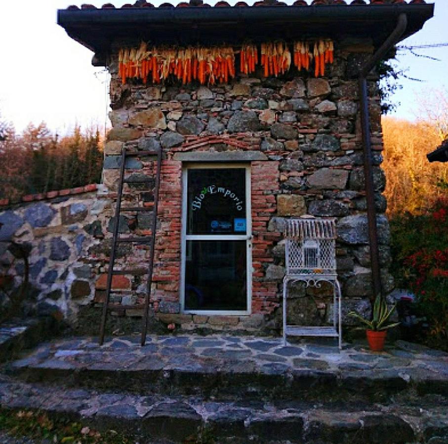 Agriturismo Paneolio Villa Collemandina エクステリア 写真