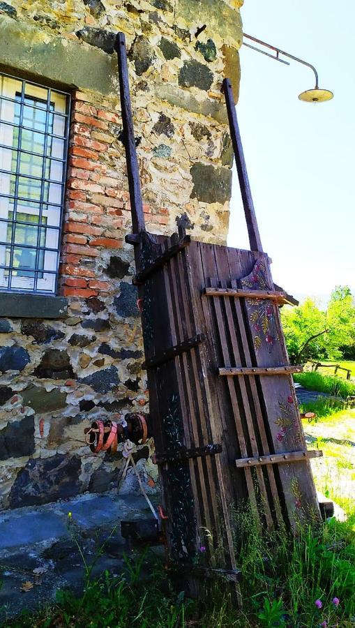 Agriturismo Paneolio Villa Collemandina エクステリア 写真