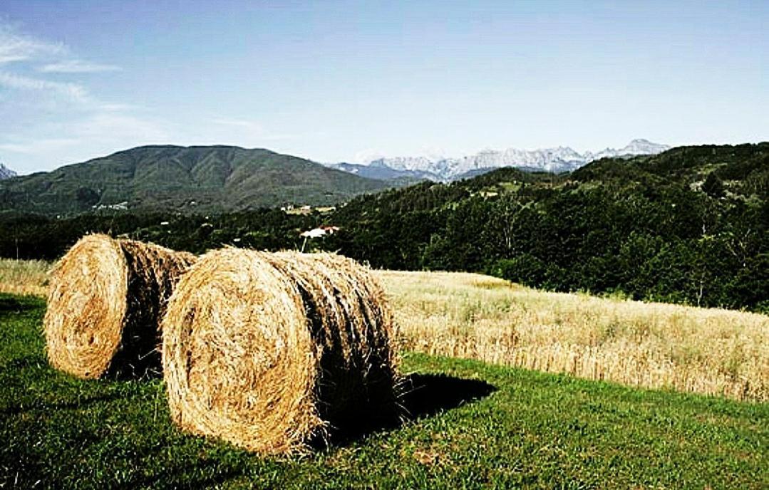 Agriturismo Paneolio Villa Collemandina エクステリア 写真