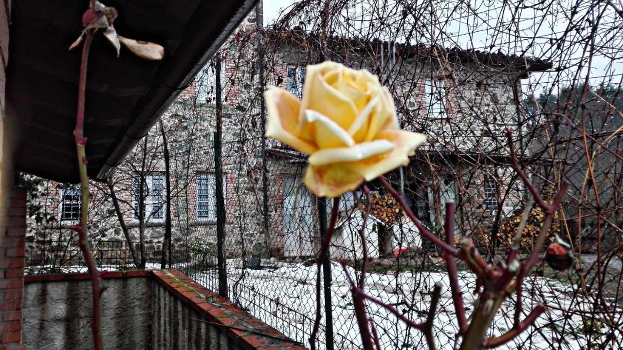 Agriturismo Paneolio Villa Collemandina エクステリア 写真