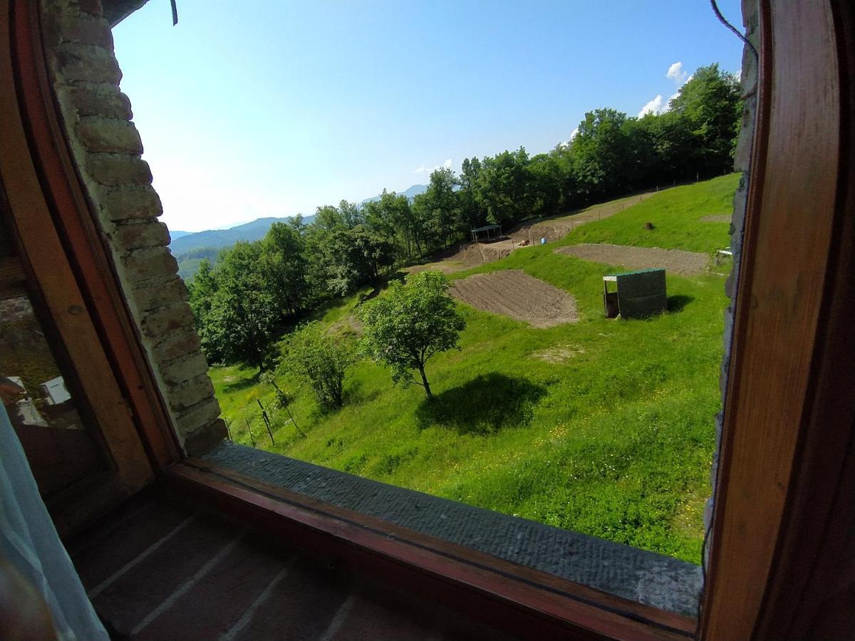Agriturismo Paneolio Villa Collemandina エクステリア 写真
